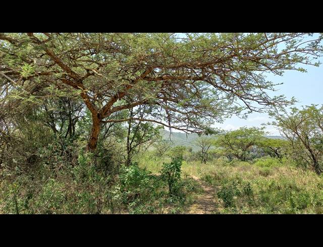 1HA SMALLHOLDING FOR SALE IN NELSPRUIT RURAL